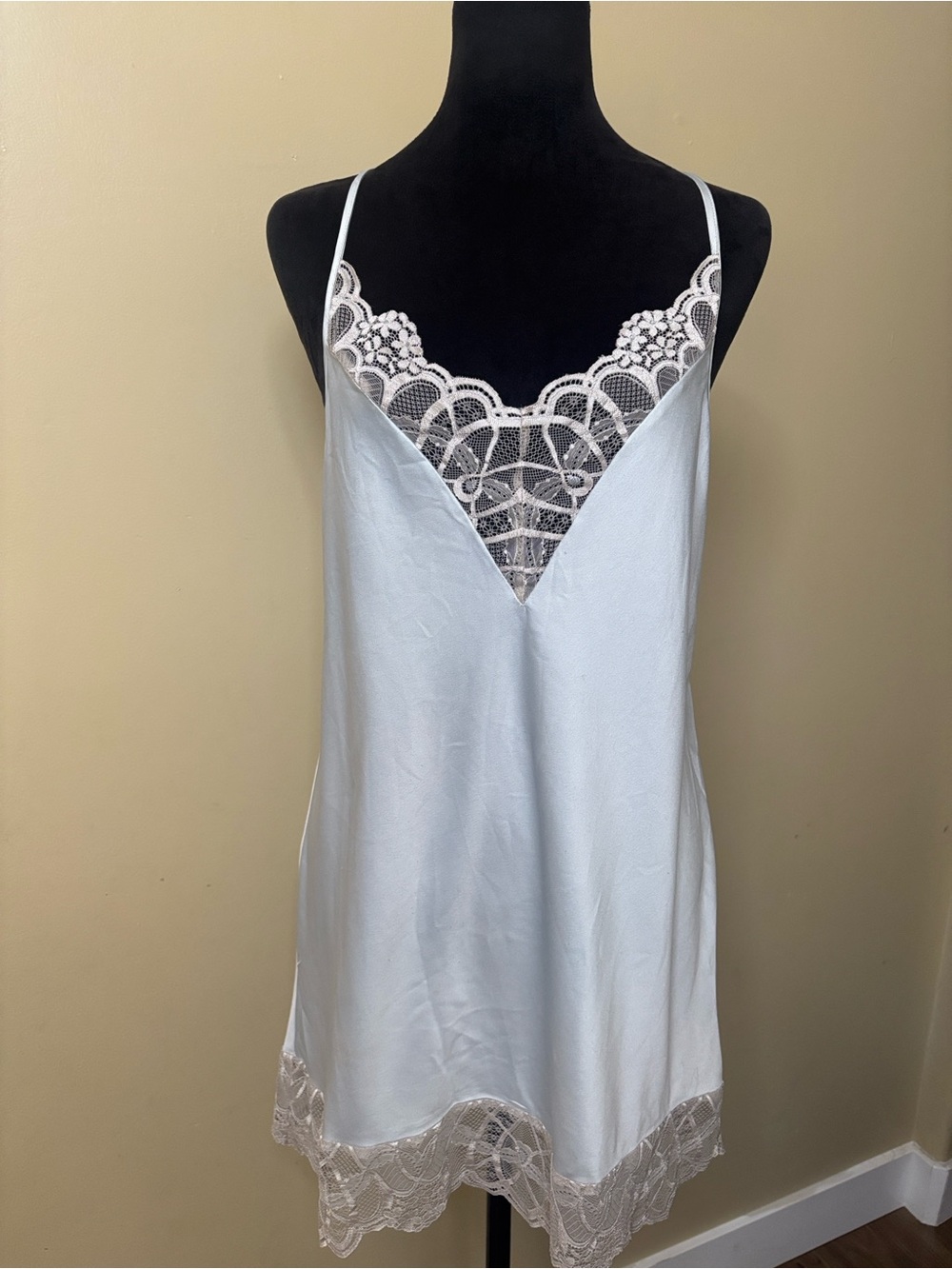 Flora Nikrooz Gabby light blue mini slip dress